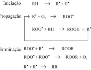 Figura 4. Mecanismo da oxidação lipídica, adaptado de Ramalho e Jorge,  2006. 