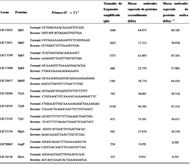 Tabela 1: Seqüência dos primers de clonagem, tamanho do fragmento  amplificado e massas esperadas da proteína recombinante e da proteína nativa