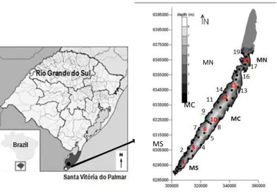 Figure 1. Map of Lake Mangueira, comprising the northern (MN), central (MC) and southern  (MS) regions, highlighting the 19 sampling points throughout the extent of the ecosystem in  the pelagic area (red points: 1, 3, 6, 10, 12, 15, 18) and coastal (black