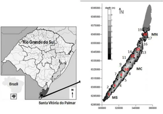 Figura 1 –  Mapa da Lagoa Mangueira, com as regiões sul  (MS), centro (MC) e norte (MN),  destacando-se  os  19    pontos  de  amostragem  ao  longo  de  toda  a  extensão  do  ecossistema,  na  região  pelágica  (pontos  em  vermelho:  1,  3,  6,  10,  12