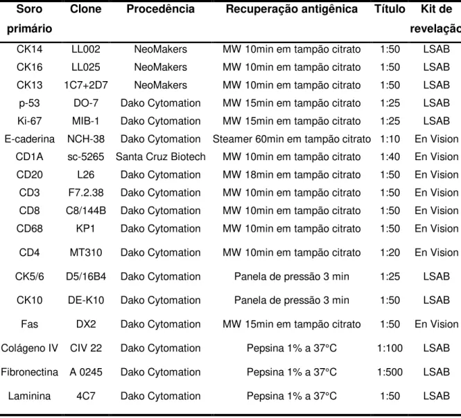 Tabela 1: Anticorpos e detalhes sobre o protocolo utilizado  Soro 