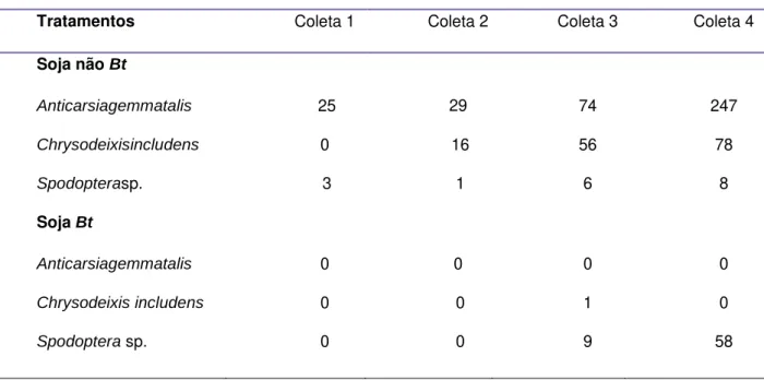 Tabela 1. Abundância de lepidópteros em soja Bt e não Bt avaliada em quatro coletas no  ano agrícola 2013/2014