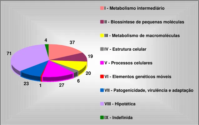 Figura 15. Categorização dos 208 genes contendo “PIP box” de Xac identificados “in silico”e  utilizados no presente estudo