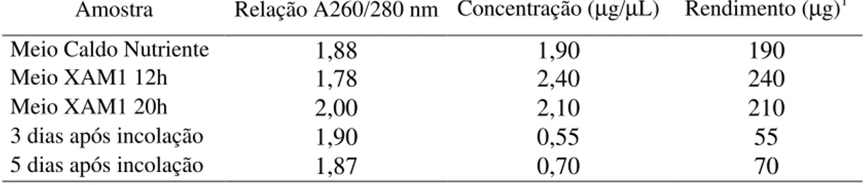 Tabela 2. RNAs obtidos de bactérias cultivadas em meio rico, meio indutivo e  exsudadas de folhas de laranjeiras