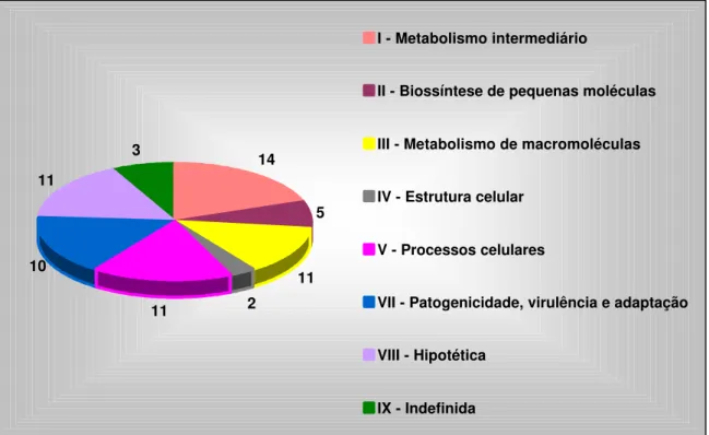 Figura 19. Categorização dos 67 genes diferencialmente expressos em  Xac em contato com a  planta hospedeira ou com o meio indutivo
