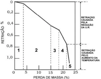 Figura 6 - Relações entre a perda de água (em massa) e a retração por secagem 