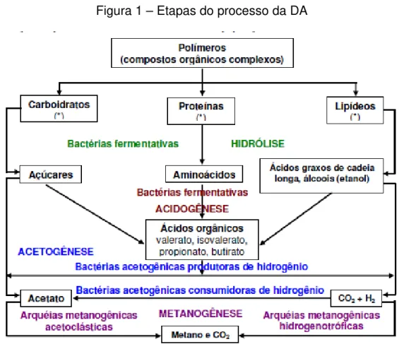 Figura 1 – Etapas do processo da DA 