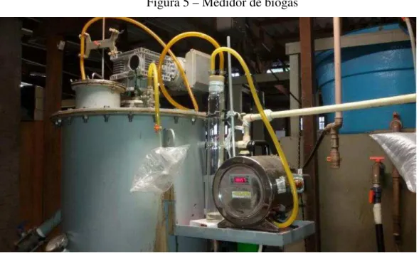 Figura 5 – Medidor de biogás 