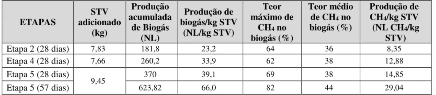 Figura 7 - Acompanhamento das quantificações de biogás e CH 4  nas Etapas 2, 4 e 5. 