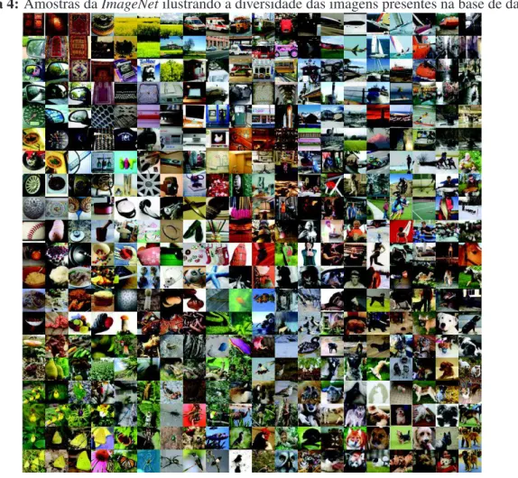 Figura 4: Amostras da ImageNet ilustrando a diversidade das imagens presentes na base de dados