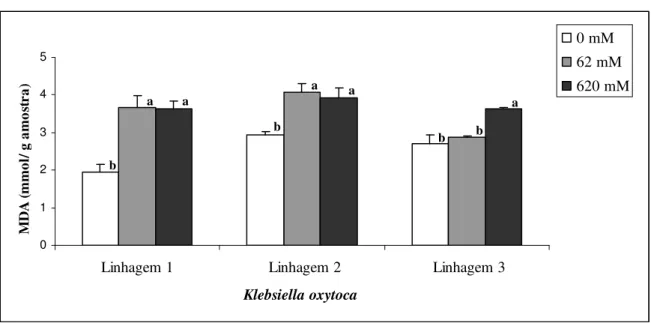 Figura 6 – Quantidade de MDA (mmol/g amostra) para as linhagens 1, 2 e 3 de Klebsiella  oxytoca  submetidas as  concentrações  de  0  mM,  62  mM  e  620  mM  de  acetochlor