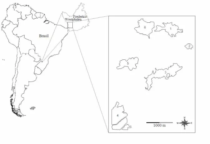 Figura 2. Localização de Frederico Westphalen e dos seis fragmentos de floresta estudados