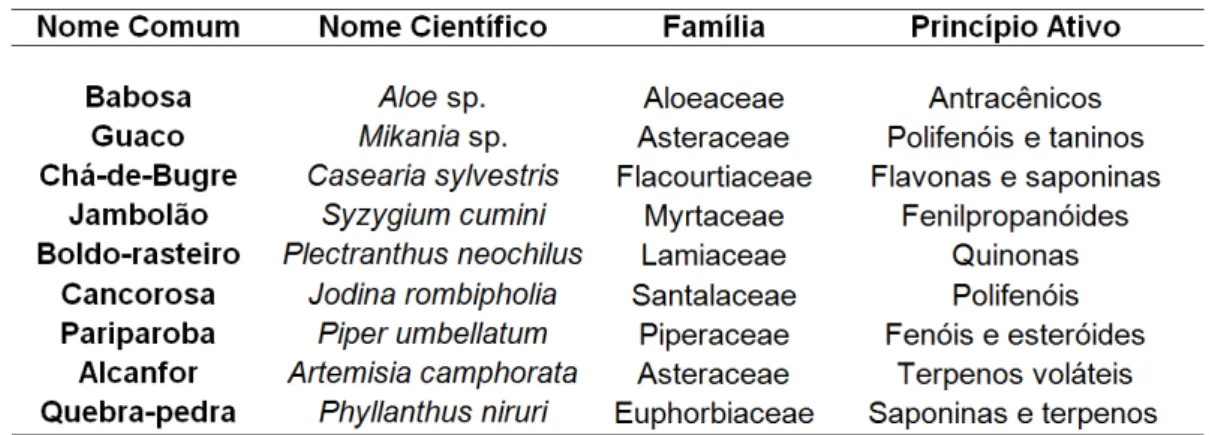Tabela 2 - Plantas medicinais utilizadas nos bioensaios com lagartas de Spodoptera  frugiperda 