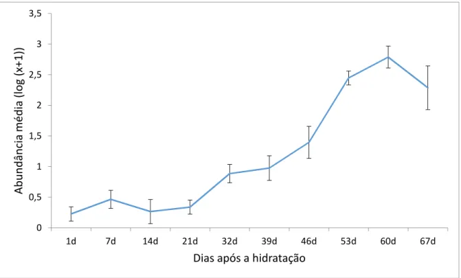 Figura  3  b)  Abundância  média  ao  longo  do  experimento  nos  hidroperíodos  curto,  médio  e  longo (HC, HM e HL), após a hidratação do sedimento das áreas úmidas de altitude
