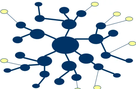 Figura 1: Caracterização morfológica das redes.  