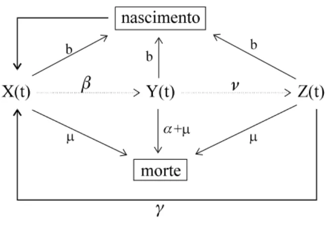 Figura 3.  Modelo compartimental fechado 