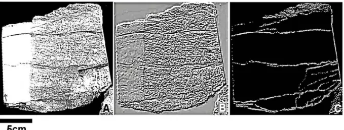 Figura 5.3 - Fotografia digital do fácies pelítico da laje consolidada: (A) Perfil de bloco cortado e parcialmente re-hidratado; (B) Imagem tratada para saliência de estruturas e (C) Imagem tratada para  salientar limites de níveis estratais.