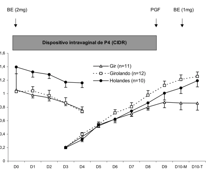 Gráfico 2 - Dinâmica folicular de novilhas Gir, Girolando e Holandês tratadas com dispositivo intravaginal de P 4  associado a benzoato de estradiol e prostaglandina