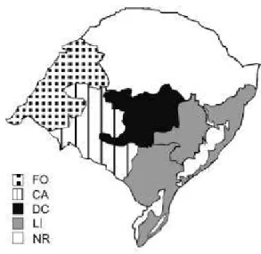 Figure 1. Representative map of Rio Grande do Sul rice fields. 
