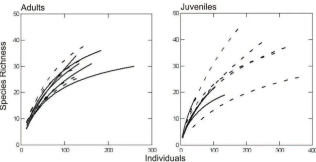 Fig.  3. Rarefaction  curves  for  adults  and  juveniles  between  different  management  in  riparian  forests  -  eucalyptus  plantations  (dashed  lines)  and  cattle  (unbroken  lines)  in  Eldorado do Sul, RS, Brazil 