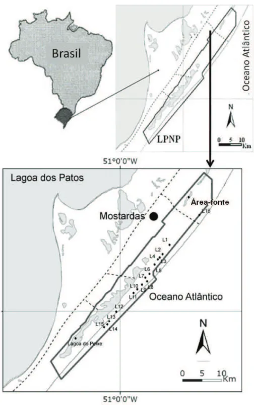 Figura  1.  Área  de  estudo  distribuídas  ao  longo  do  Parque  Nacional  Lagoa  do  Peixe  (LPNP), município de Mostardas, Rio Grande do Sul, Brasil