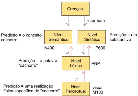 Figura 3 – Esquema representando o fluxo de informação bottom-up e top-down entre  diversos níveis de processamento linguístico