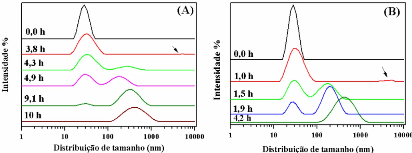 Figura 11: Curvas de distribuição de tamanho baseados na intensidade de espalhamento (%) para oxi-HbGp 1,0  mg/mL, em tampão fosfato 30 mmol/L pH 7,0