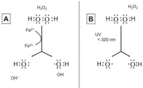 Figura 4: A) Reação de Fenton B)Reação de homólise da água. Retirado de Kammeyer; Luiten  (2015)