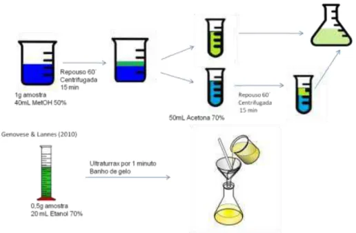Figura 9: Métodos utilizados para a extração de compostos fenólicos da couve. 