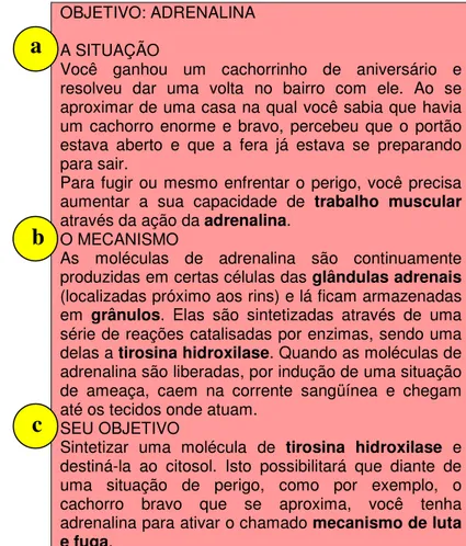 Figura  4  –  “Carta-Objetivo”.  A  mesma  possui  3  seções:  (a)  “A  situação”;  (b)  “O  mecanismo”  e  (c) 