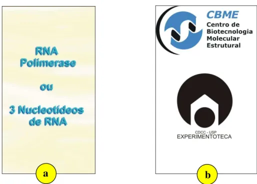 Figura  6  –  ‘Carta-ação’.  (a)  A  parte  interna  do  cartão,  com  duas  opções  de  ação,  separadas  pela  conjunção “ou”; (b)  Verso  do cartão com os logotipos do CBME e do projeto “experimentoteca”  do  CDCC/USP (Centro de Difusão Científica e Cul