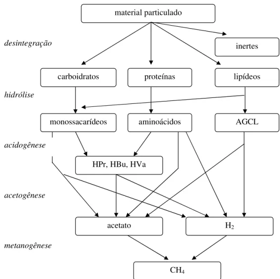 Figura 6. Seqüência de processos da digestão anaeróbia de macro moléculas  complexas. Fonte: adaptado de Batstone  et al 