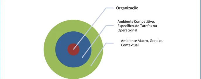 Figura 1. Segmentação do ambiente organizacional     