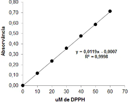 Figura 8 – Curva de calibração de DPPH  0,06 mM 