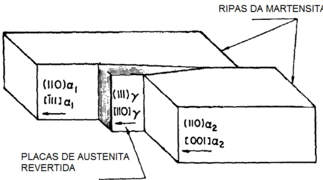 Figura 8: Crescimento da austenita revertida em placas dentro das ripas de martensita (67) 