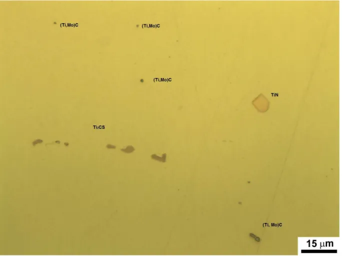 Figura  19:  Micrografia  com  as  inclusões  presentes  no  aço  maraging  350  corrida  D  no  estado  solubilizado