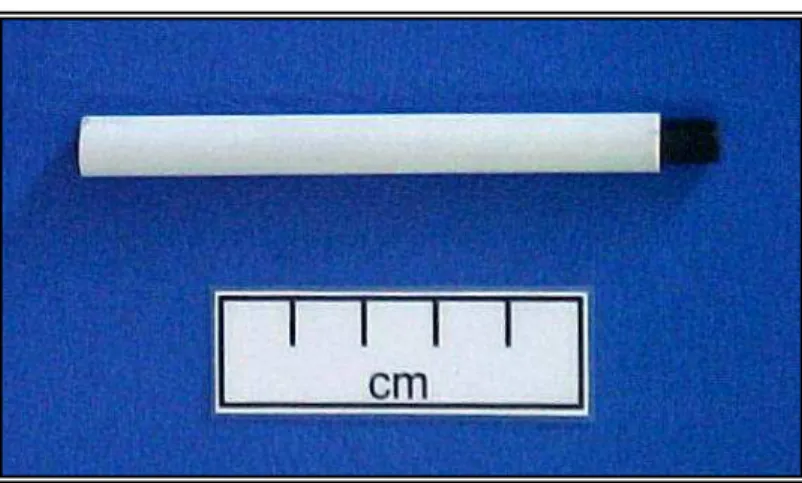 Figura 3 – Caneta eletrodo desenvolvida em menor escala para a estimulação do  músculo gastrocnêmio.