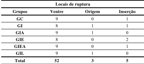 TABELA 2 – Locais de ruptura dos músculos gastrocnêmio avaliados. 