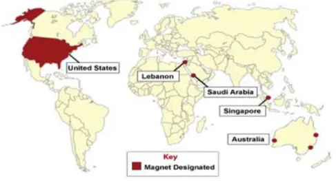 Figura 2 - Países com designação Magnet ®