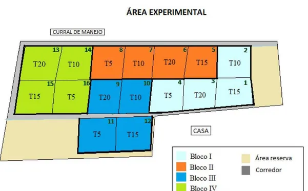Figura 3 - Layout da área experimental, onde T5 = altura de 5 cm; T10= altura de 10  cm; T15= altura de 15 cm e T20= altura de 20 cm 