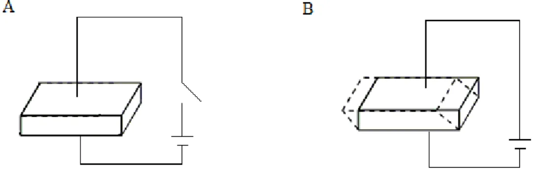 Figura 3.2.2. Cristal piezoelétrico em repouso (A) e após aplicação de tensão elétrica (B), mostrando  uma deformação mecânica
