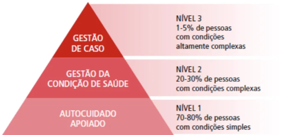 Figura 3 – Modelo da pirâmide de riscos 