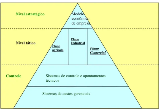Figura 2. Níveis de planejamento e integração das várias etapas   Fonte: Adaptação de Brunstein (2005) e Paiva (2006)