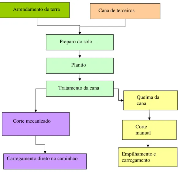 Figura 8. Fluxograma simplificado da etapa agrícola de produção de cana-de-açúcar. 