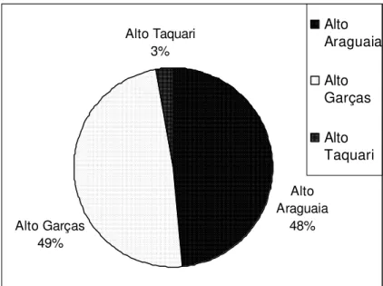 GRÁFICO 4 - Total dos litotopônimos da microrregião Alto Araguaia. 