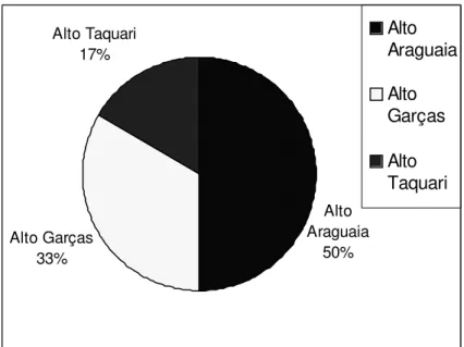 GRÁFICO 8 - Total dos cardinotopônimos da microrregião Alto Araguaia. 