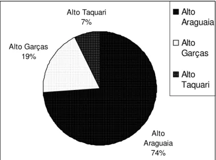 GRÁFICO 9 - Total dos ergotopônimos da microrregião Alto Araguaia. 