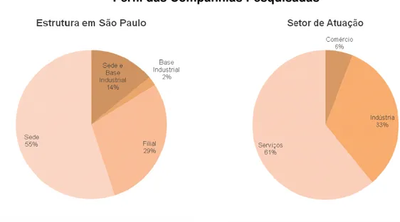 Figura 1.4 – Perfil das companhias pesquisadas no São Paulo Outlook   Fonte: Adaptado de ANÁLISE EDITORIAL, 2010; p