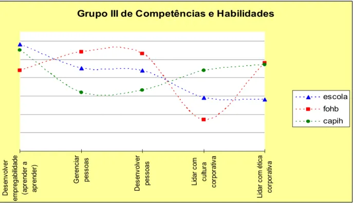Figura 05 – Grupo III de Competências e Habilidades 