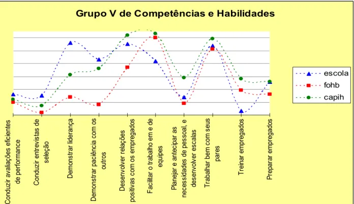 Figura 07 – Grupo V de Competências e Habilidades 